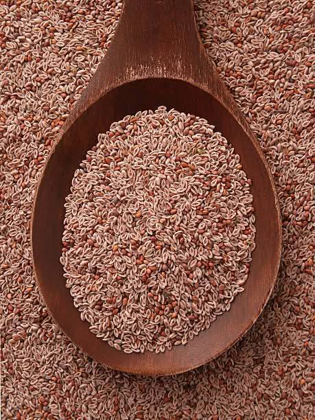 Korzyści z łupin babki płesznik w oczyszczaniu jelita grubego: sposób stosowania i zalecane dawkowanie