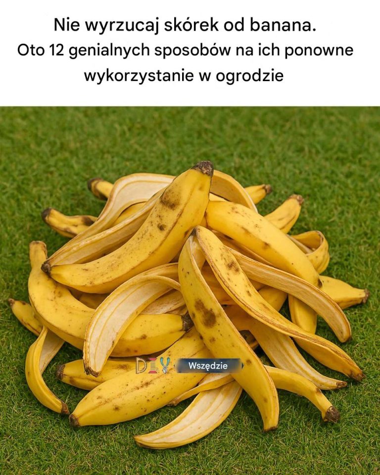 Nie wyrzucaj skórek od bananów. Oto 12 genialnych sposobów na ich ponowne wykorzystanie w ogrodzie
