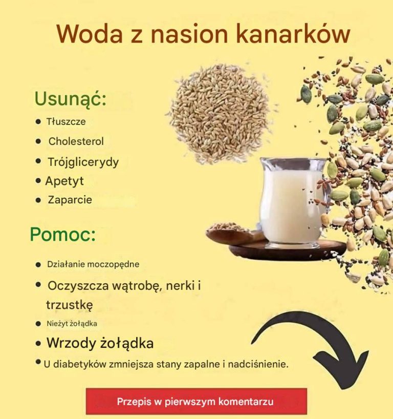 Korzyści ze spożywania karmy dla ptaków.
