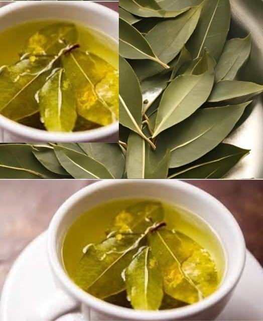 Umieść go w swoim domu na 1 godzinę, a nigdy więcej nie zobaczysz much, komarów ani karaluchów.v