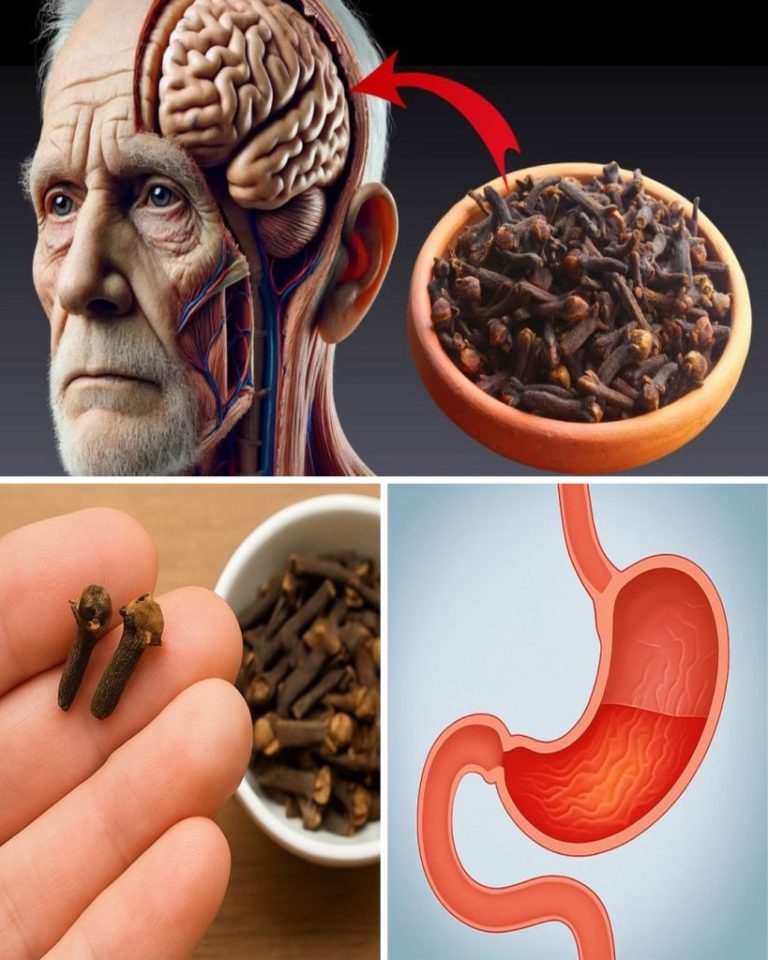 Żucie 2 goździków dziennie po 50.: prosty nawyk o silnych korzyściach zdrowotnych