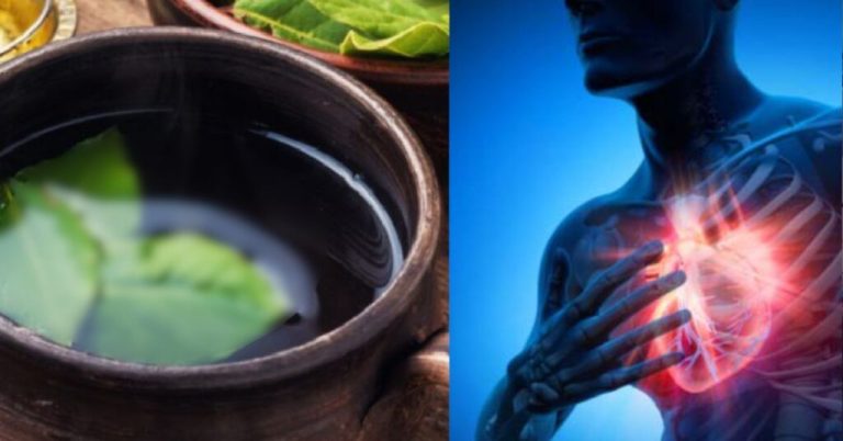 Herbata z tej rośliny, znanej jako „Boże błogosławieństwo”, reguluje wysokie ciśnienie krwi, cukrzycę, lęk, infekcje i eliminuje tłuszcz z krwi.