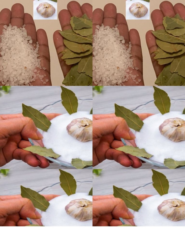 Wawrzyn i sól: mieszanka na wagę złota! Moja babcia nauczyła mnie używać go w ten sposób…zobacz resztę