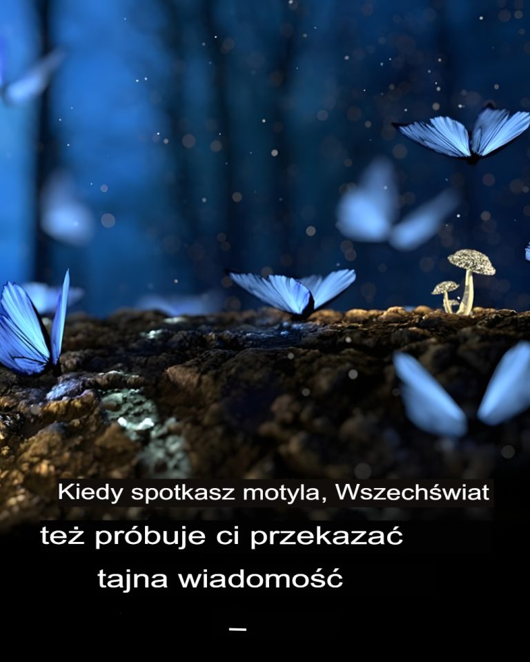 Motyle są posłańcami ducha. Oto co mogą dla ciebie oznaczać.