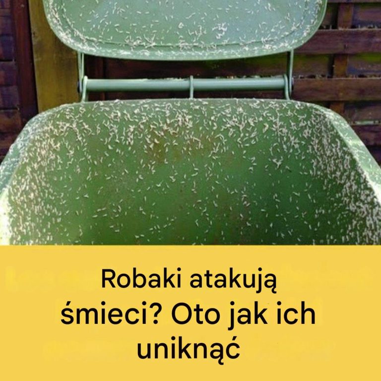 4 skuteczne wskazówki, jak pozbyć się robaków z zewnętrznego kosza na śmieci