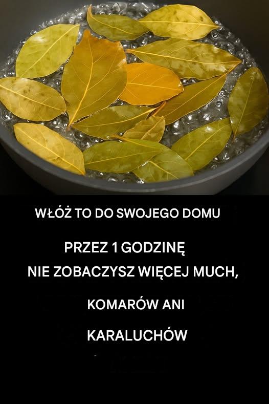 Pożegnaj się z muchami, komarami i karaluchami gotując te liście
