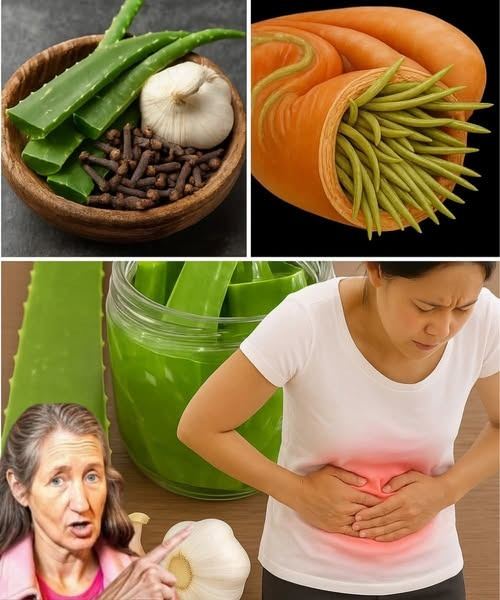 Eliksir antybakteryjny z aloesu i czosnku