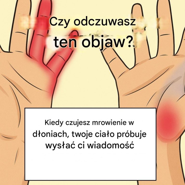 Czy chcesz zrobić więcej zdjęć dań głównych? Proszę sprecyzować, co oznacza słowo „cela”.