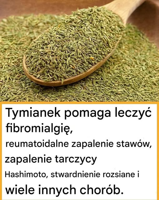 Tymianek niszczy infekcje gardła, grypę, zwalcza infekcje dróg oddechowych