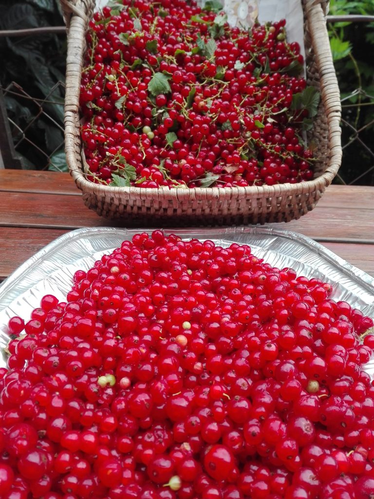 Stosuj ten wyjątkowy środek codziennie, a zapomnisz o chorobach serca i nadciśnieniu już po tygodniu.