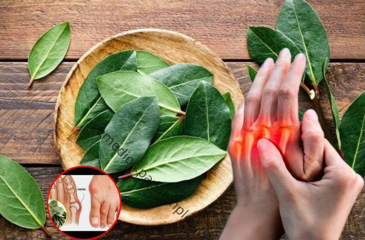 Liście laurowe na ból stawów i słabe krążenie: odnowiony starożytny środek
