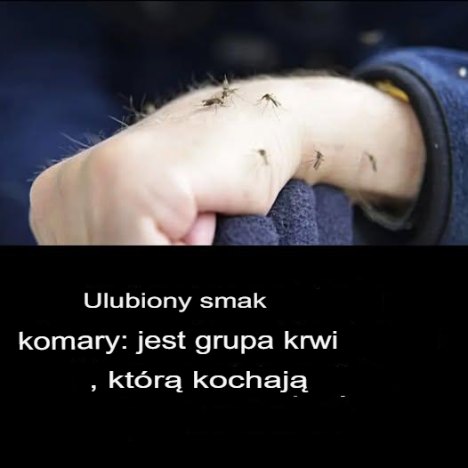 Dlaczego niektórzy ludzie są gryzieni przez komary częściej niż inni?