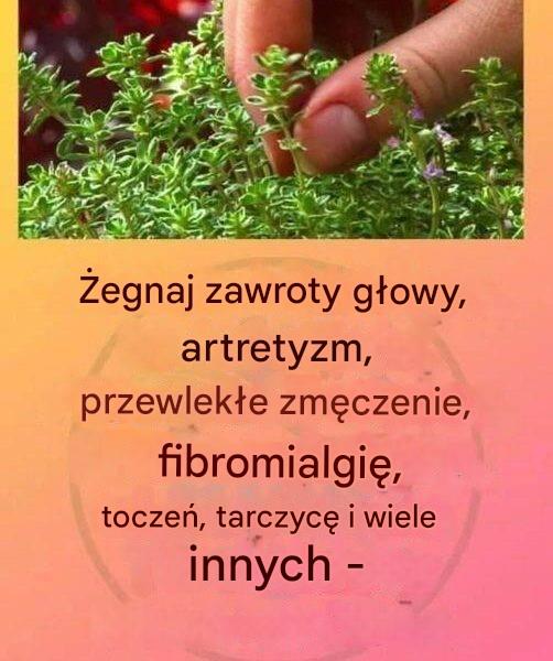 To prawdziwa „koszulka Boga” spowodowana zapaleniem stawów, toczniem, następstwem zawrotów głowy, obejmującymi skórnymi i głównymi następstwami.