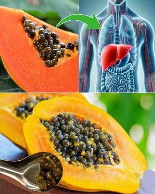 Nasiona papai – ukryta moc tropikalnego owocu, którą większość z nas wyrzuca