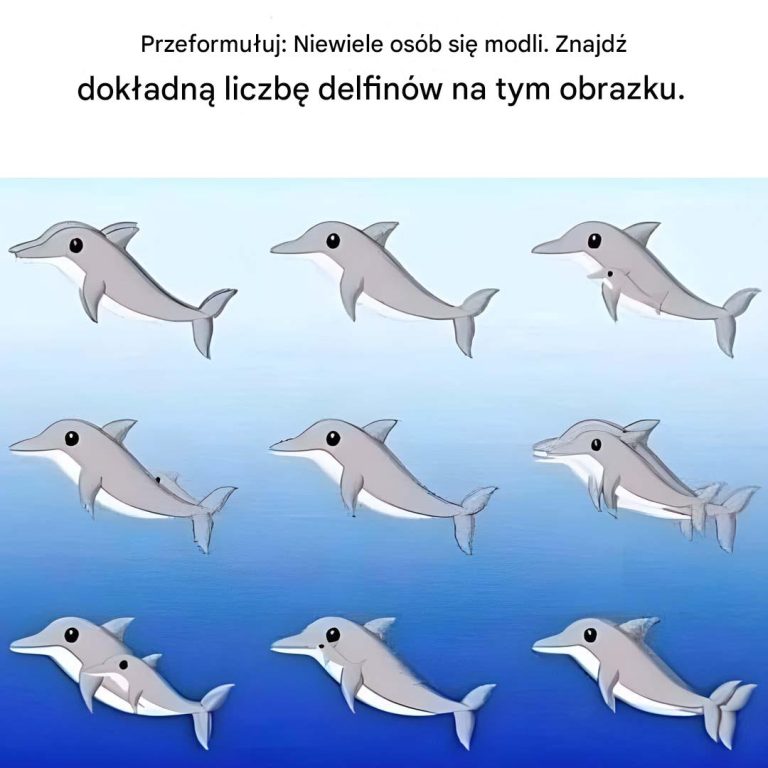 Ile delfinów można zobaczyć na tym zdjęciu?