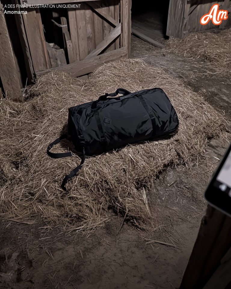 Mężczyźni wyśmiewają jej siostrę za odziedziczenie starej stodoły, gdy wchodzi do środka, spadają na nią pieniądze – Historia dnia