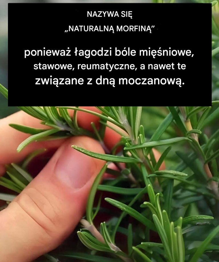 Napar, który dobrze ci zrobi