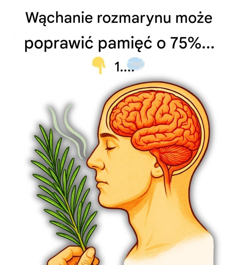 Wąchanie rozmarynu może poprawić pamięć o 75%
