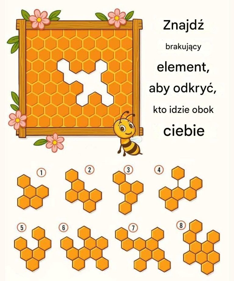 Znajdź brakujący kawałek plastra miodu, aby odkryć, kto idzie obok ciebie