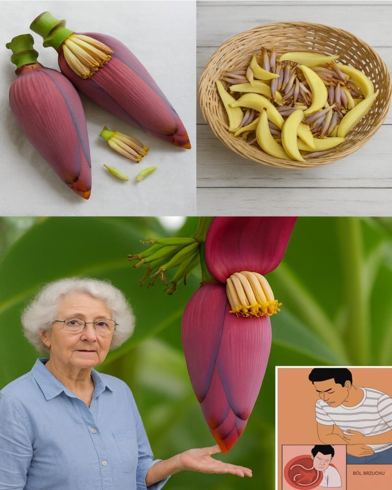 Pożegnaj cukrzycę, nadciśnienie i ból żołądka dzięki jednemu naturalnemu lekarstwu, którego się nie spodziewałeś... 💬👀…