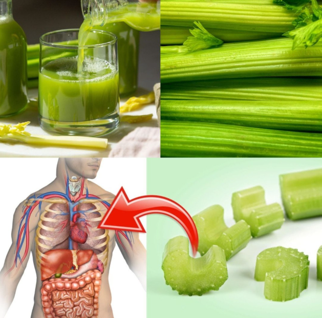 10 zaskakujących povwodów, dla których warto jeść więcej selera