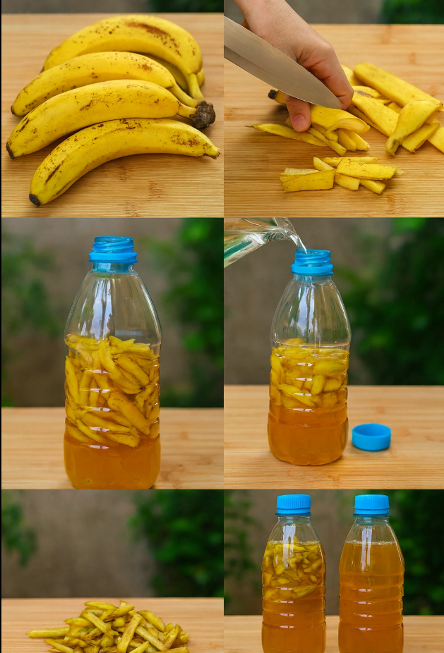 Skórki od banana: Włóż je do butelki. Jeśli wykorzystasz je w ten sposób, nigdy ich już nie wyrzucisz.