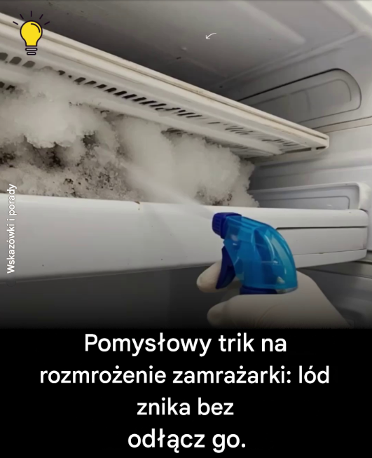 Rozmroź swoją zamrażarkę w mgnieniu oka, bez konieczności odłączania jej od prądu!
