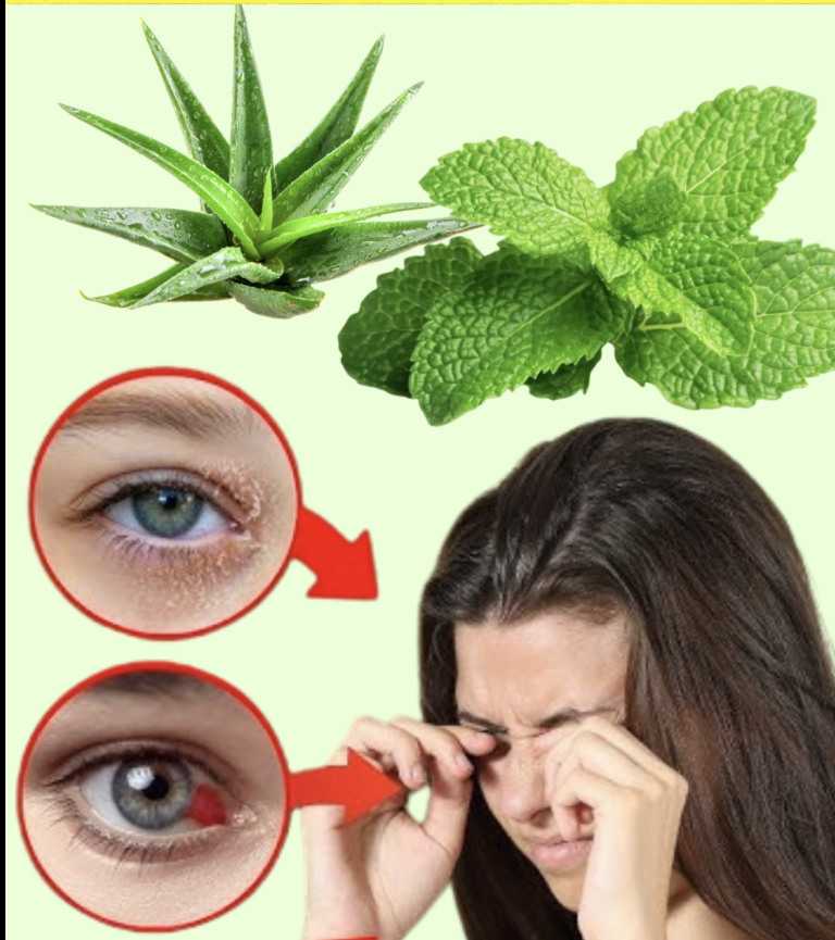 8 potężnych ziół, które naturalnie chronią i naprawiają wzrok