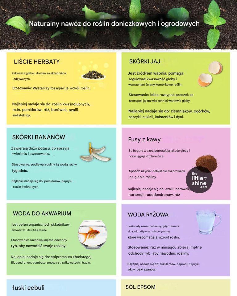 Najprostsze metody naturalnego dodawania składników odżywczych do gleby