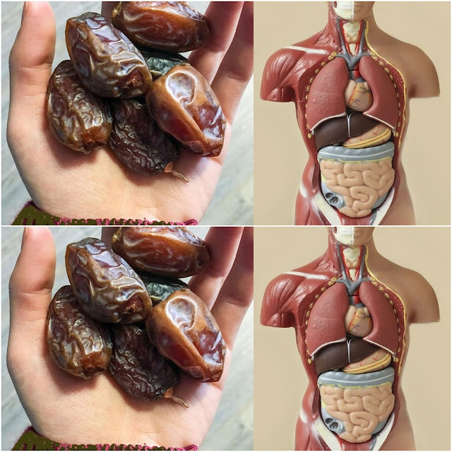 Przyjemne korzyści: Popraw swoje zdrowie, jedząc dwie daktyle dziennie