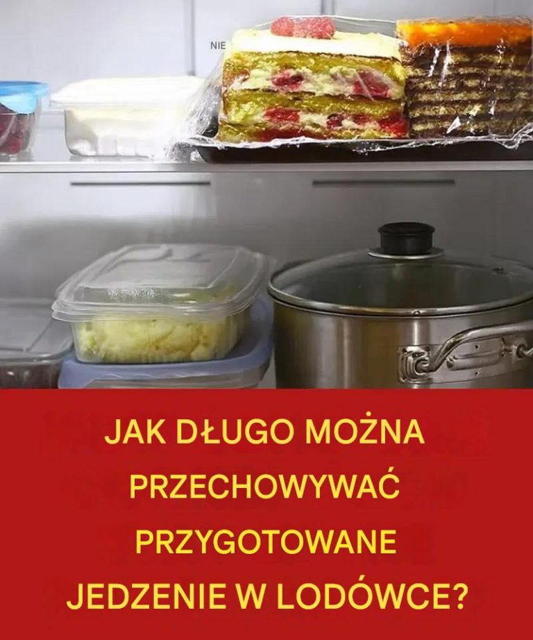 Jak długo można przechowywać ugotowane jedzenie w lodówce?