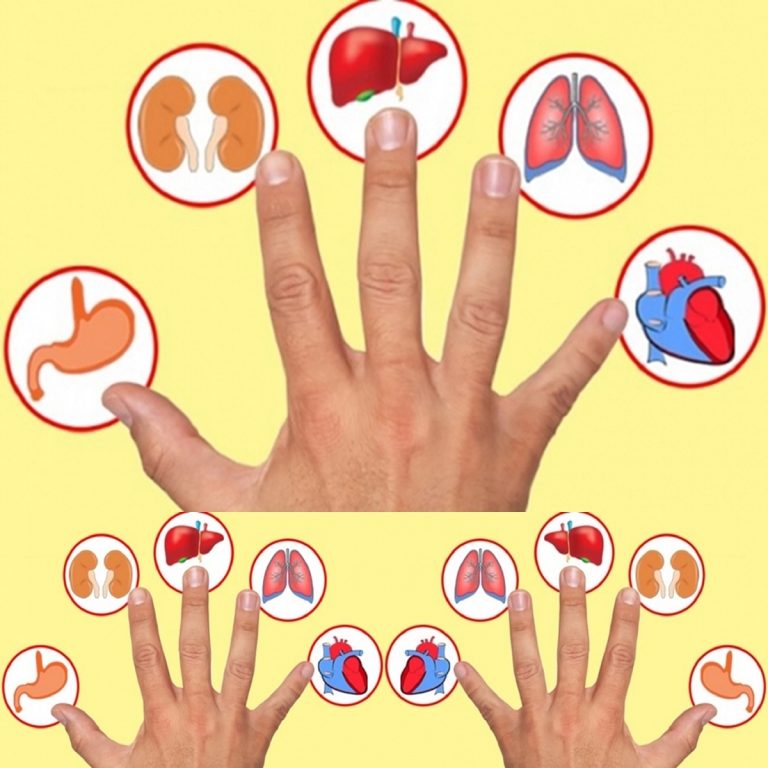 Każdy palec jest powiązany z jednym organem: odkryj tę japońską metodę