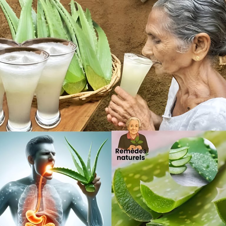 Odkryj 11 powodów, dla których warto codziennie pić wodę aloesową