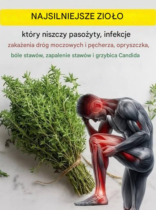 Jak mogę wykorzystać tymianek do regeneracji chrząstki kolanowej?