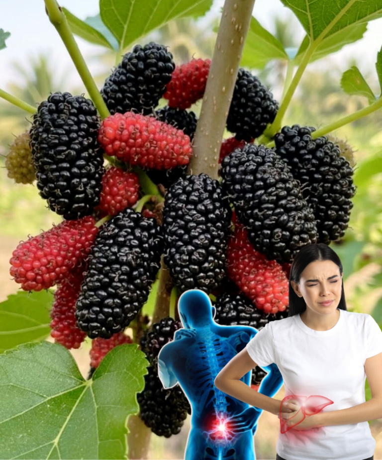 13 powodów, dla których warto regularnie jeść ten owoc – zarówno dla mężczyzn, jak i kobiet