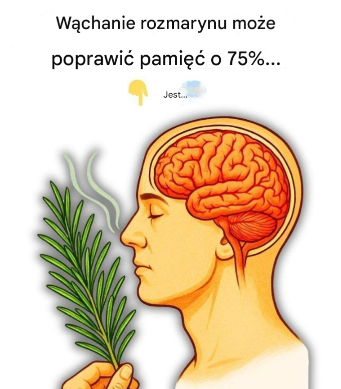 Wąchanie rozmarynu może poprawić pamięć o 75%.