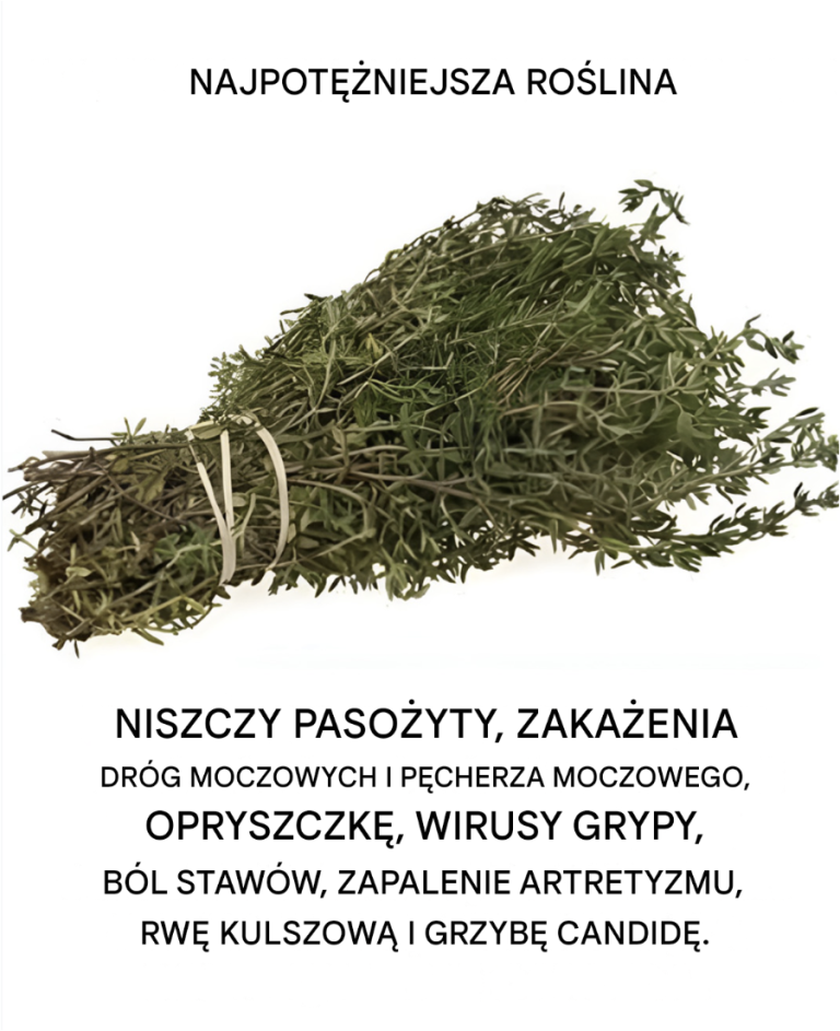 Należy do najpotężniejszych roślin na świecie.